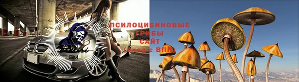 mdpv Ельня