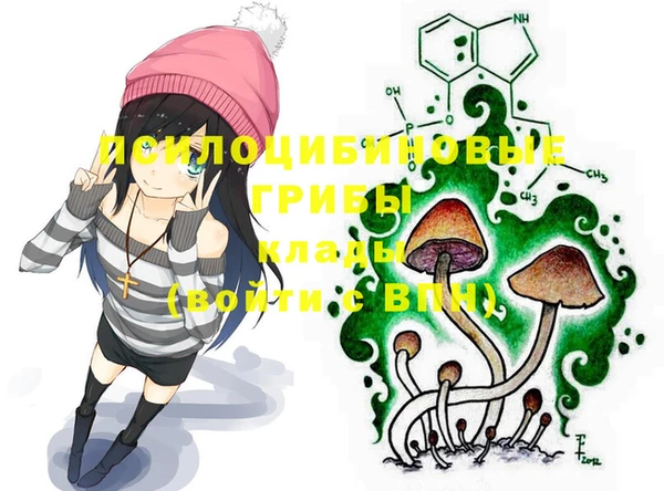 mdpv Ельня