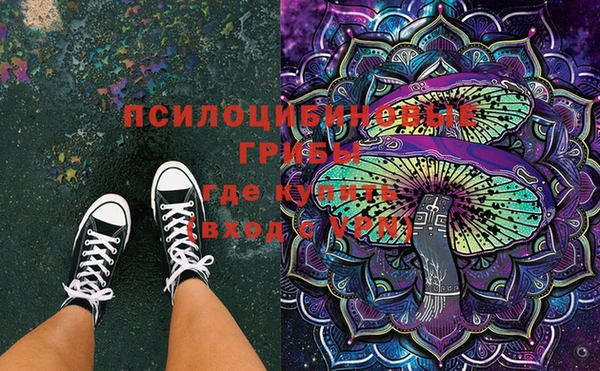 прущие крисы Елизово