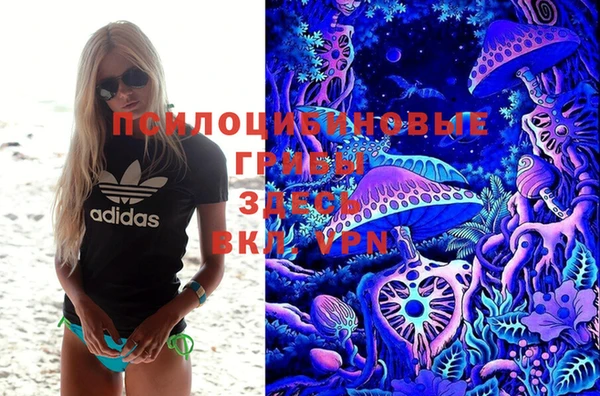 прущие крисы Елизово