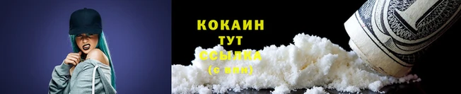 прущие крисы Елизово