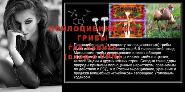 mdpv Ельня