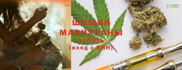 mdpv Ельня
