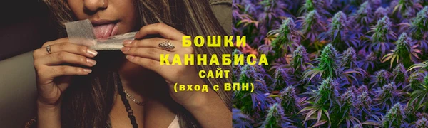 прущие крисы Елизово