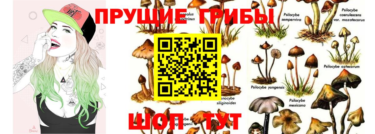 Псилоцибиновые грибы ЛСД  Вход с VPN  Нягань 